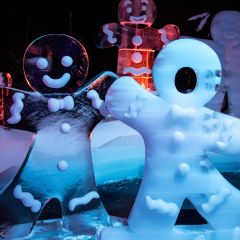 Eiswelt_Mainz_5